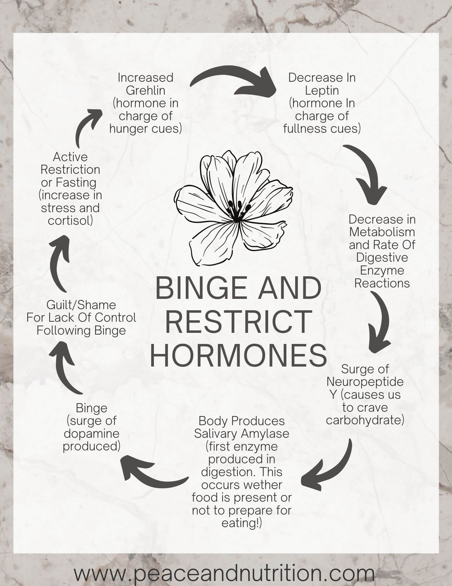 The Binge Restrict Cycle Explained By A Dietitian | The Eating Disorder ...