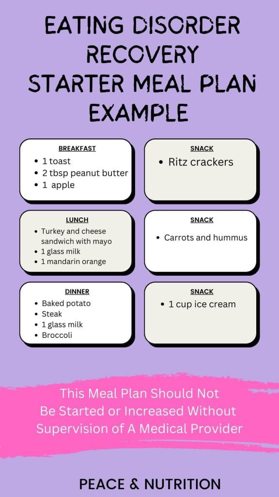 infographic of anorexia meal plan