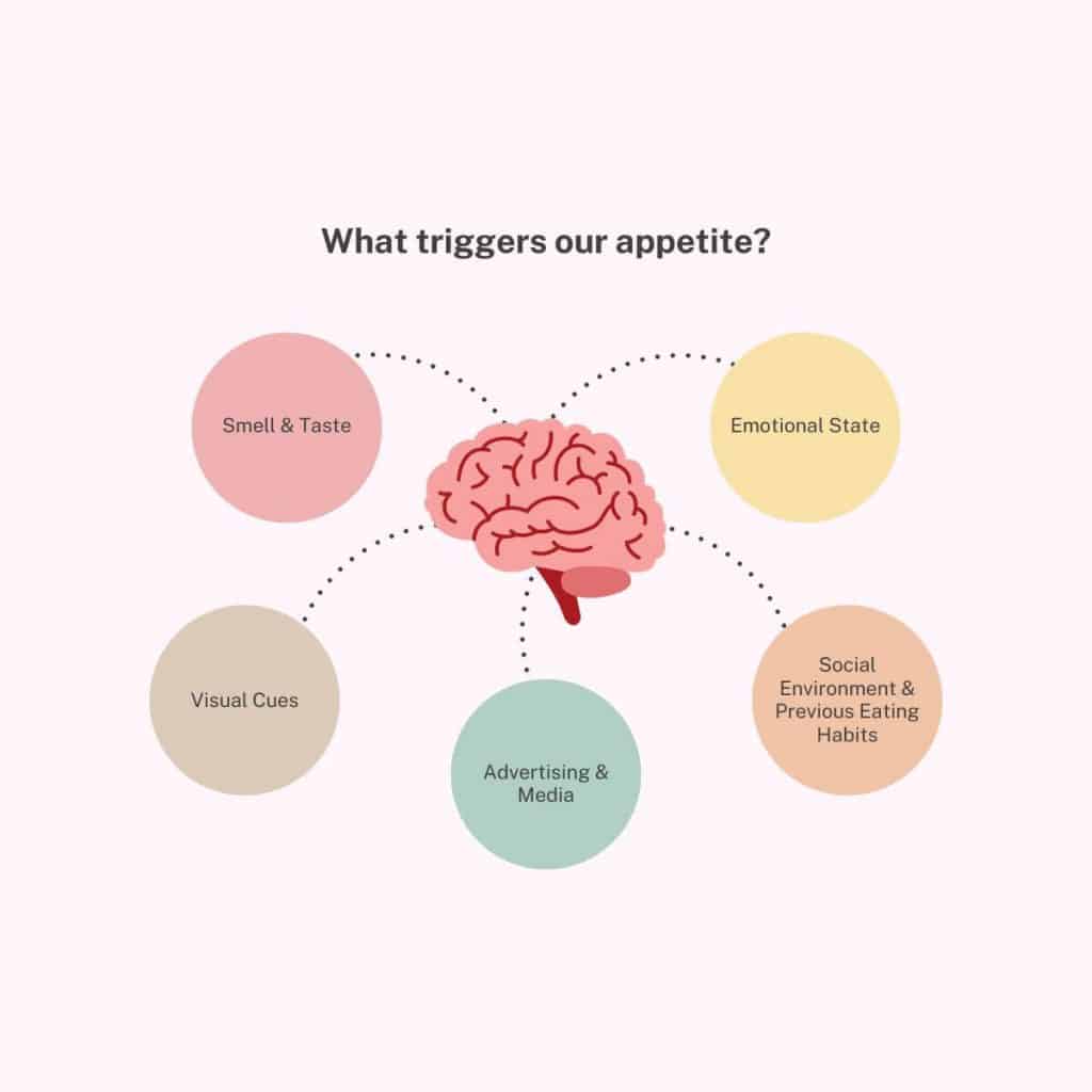 Infographic of triggers for appetite